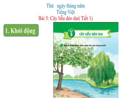 Bài giảng môn Tiếng Việt Khối 1 (Kết nối tri thức) - Chủ đề 6: Thiên nhiên kì thú - Bài 5: Cây liễu dẻo dai