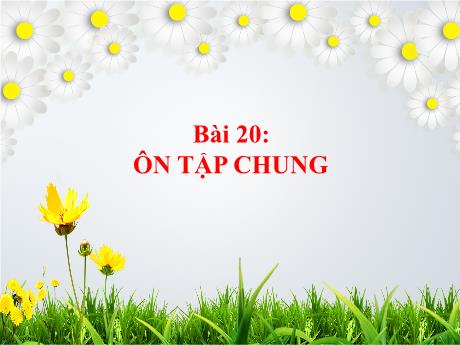 Bài giảng môn Toán Khối 1 (Kết nối tri thức) - Chủ đề 5: Ôn tập học kì I - Bài 20: Ôn tập chung
