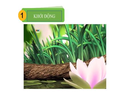 Bài giảng Tiếng Việt Lớp 1 (Kết nối tri thức) - Bài 82: Ôn tập (Tiết 2)