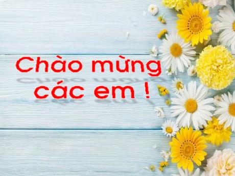 Bài giảng Tiếng Việt Lớp 1 (Kết nối tri thức) - Chủ đề 5: Bài học từ cuộc sống - Bài 1: Kiến và chim bồ câu (Tiết 4)
