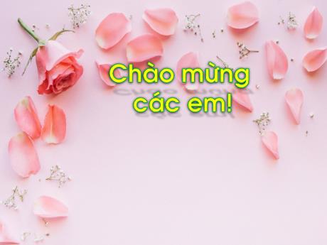 Bài giảng Tiếng Việt Lớp 1 (Kết nối tri thức) - Chủ đề 5: Bài học từ cuộc sống - Bài 2: Câu chuyện của rễ