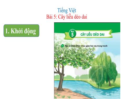 Bài giảng Tiếng Việt Lớp 1 (Kết nối tri thức) - Chủ đề 6: Thiên nhiên kì thú - Bài 5: Cây liễu dẻo dai (Tiết 2)