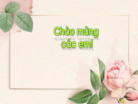 Bài giảng Tiếng Việt Lớp 1 (Kết nối tri thức) - Chủ đề 7: Thế giới trong mắt em - Bài 1: Tia nắng đi đâu - Nguyễn Thị Ánh Tuyết