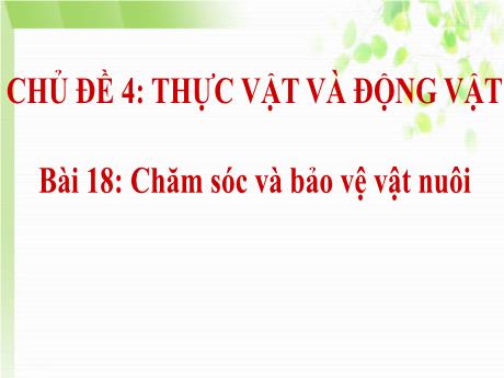 Bài giảng Tự nhiên và Xã hội Lớp 1 (Kết nối tri thức) - Chủ đề 4: Thực vật và động vật - Bài 18: Chăm sóc và bảo vệ vật nuôi (Tiết 2)