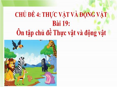 Bài giảng Tự nhiên và Xã hội Lớp 1 (Kết nối tri thức) - Chủ đề 4: Thực vật và động vật - Bài 19: Ôn tập chủ đề Thực vật và động vật