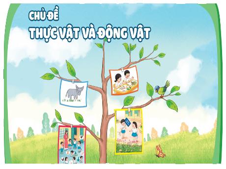 Bài giảng Tự nhiên và Xã hội Lớp 1 (Kết nối tri thức) - Chủ đề 4: Thực vật và động vật - Bài 16: Chăm sóc và bảo vệ cây trồng (Tiết 1)