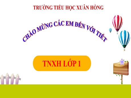 Bài giảng Tự nhiên và Xã hội Lớp 1 (Kết nối tri thức) - Chủ đề 8: Trái đất và bầu trời - Bài 26: Cùng khám phá bầu trời (Tiết 1)