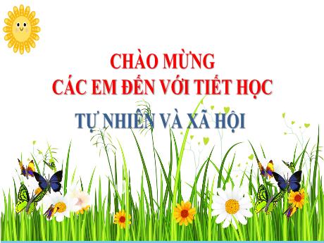 Bài giảng Tự nhiên và Xã hội Lớp 2 (Kết nối tri thức) - Chủ đề 3: Cộng đồng địa phương - Bài 15: Ôn tập chủ đề Cộng đồng địa phương (Tiết 2)