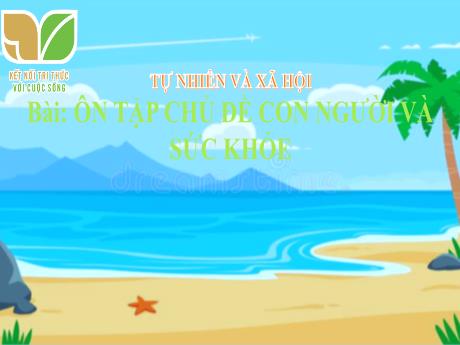 Bài giảng Tự nhiên và Xã hội Lớp 3 (Kết nối tri thức) - Chủ đề 5: Con người và sức khỏe - Bài 25: Ôn tập chủ đề con người và sức khỏe